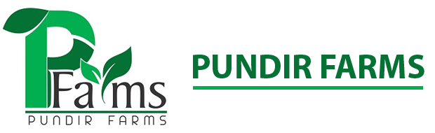 Pundir Farms